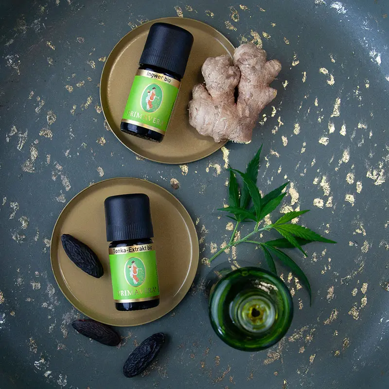 Preparing Body Oil "Tonka Ginger"