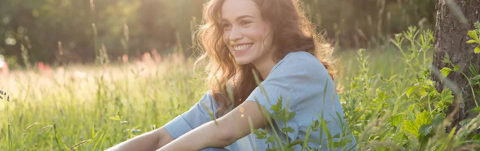 PRIMAVERA Kataloge und Downloads