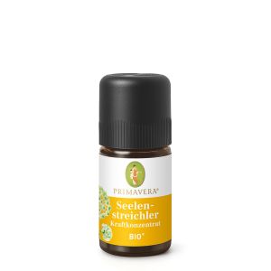 Seelenstreichler Kraftkonzentrat bio*