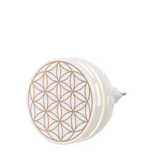 Aroma Duftstecker Easy