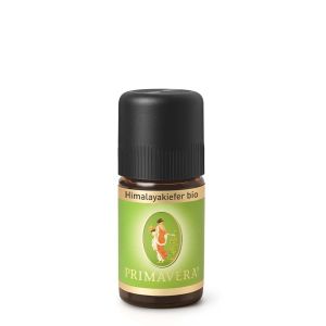 Himalayakiefer bio