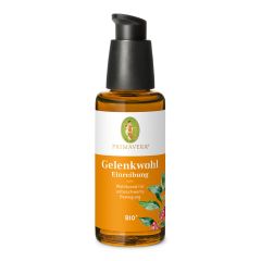 Gelenkwohl Einreibung bio*
