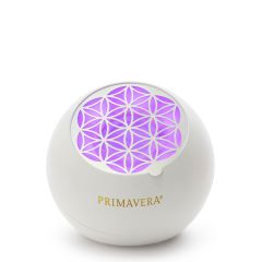 Aroma Ventilator Flower