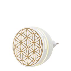Aroma Duftstecker Easy