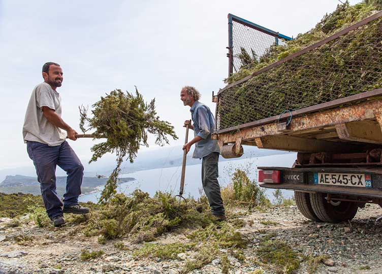 Frankreich / Korsika