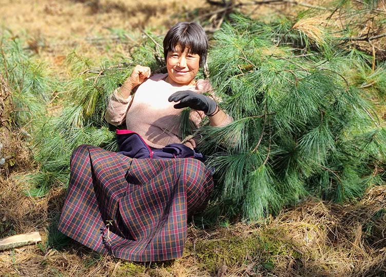 Bhutan / Terra Himalaya Bhutan