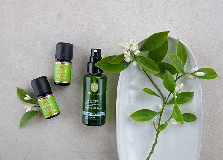 Cool (Lock)Down Spray