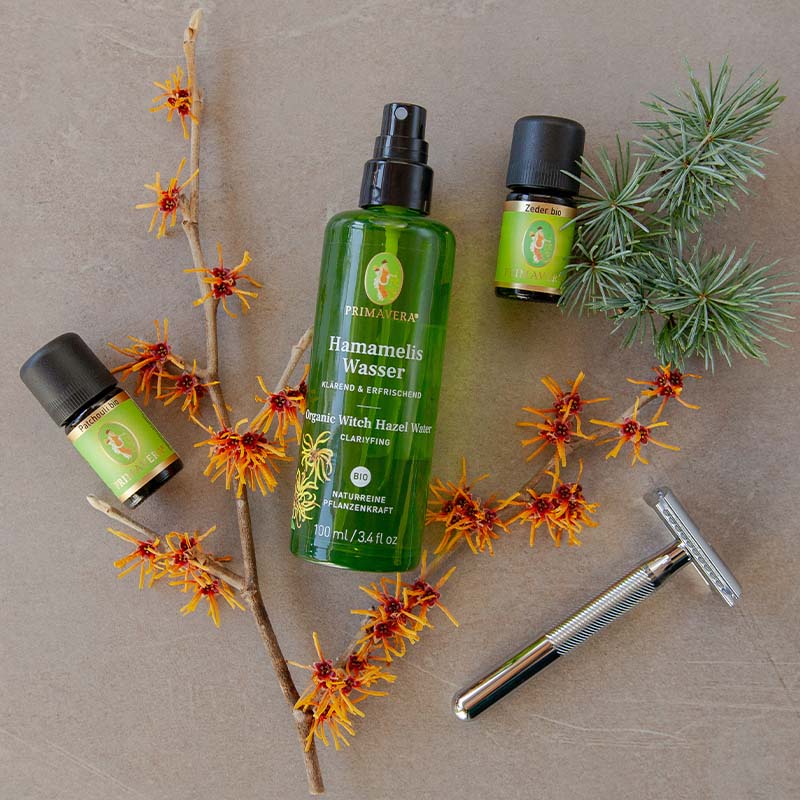 PRIMAVERA Hamamelis Wasser mit Hamameliszweigen, Kiefernzweigen und Rasierer auf grauem Hintergrund.