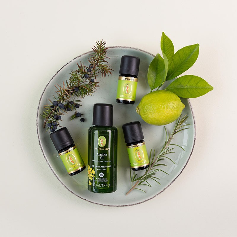 Grüner Teller mit PRIMAVERA Arnikaöl und ätherischer Öle Zitrone, Wacholderbeere, und Rosmarin Campher dekoriert mit frischen Kräutern, Wacholderbeeren und einer Zitrone.