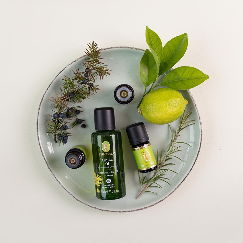 Grüner Teller mit PRIMAVERA Arnikaöl und ätherischer Öle Zitrone, Wacholderbeere, und Rosmarin Campher dekoriert mit frischen Kräutern, Wacholderbeeren und einer Zitrone.
