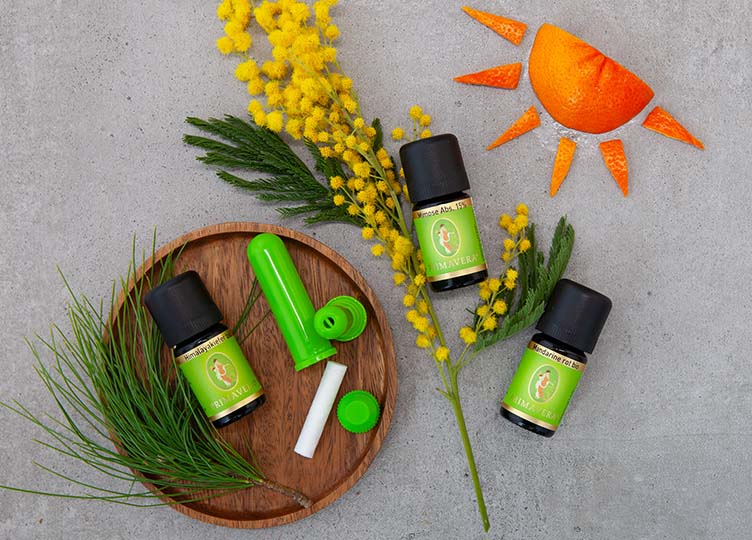 Duftstick Trostduft mit Himalayakiefer