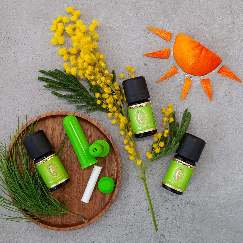 Drei Primavera-Ölfläschchen mit grünem Etikett, umgeben von Pflanzen, Riechstick und einer Sonne aus Orangenschale.