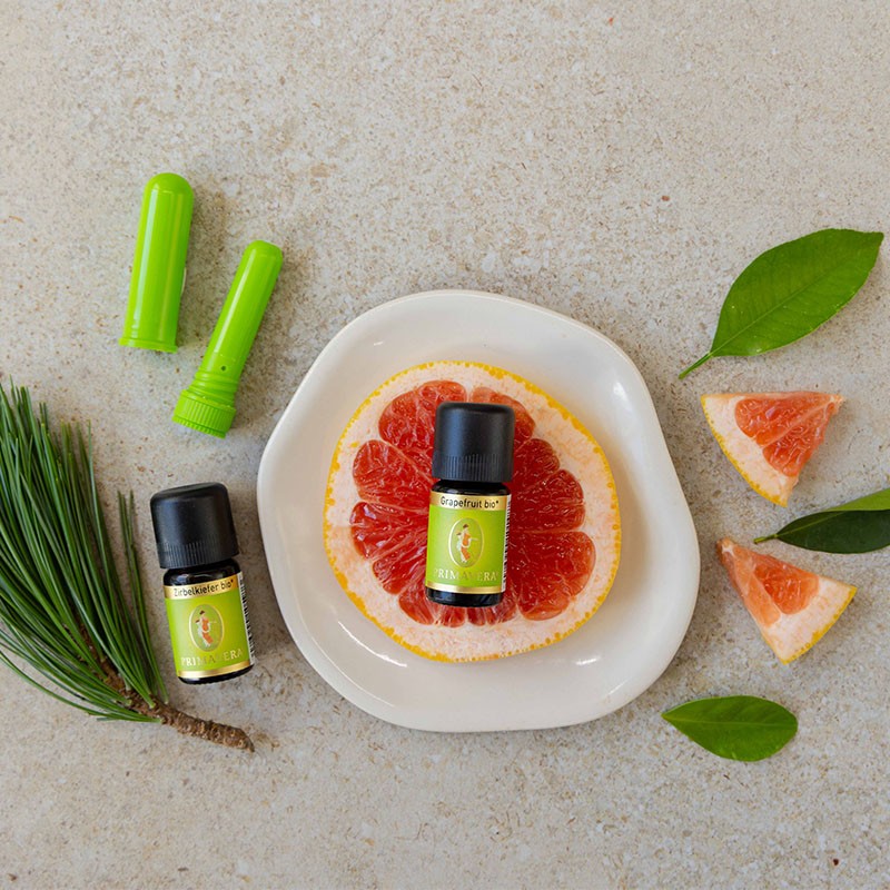 ätherisches Grapefruit öl bio auf einer Grapefruit scheibe umrandet von Zirbelkiefer bio, Kiefernadeln und Aroma Sticks zum Selbstbefüllen