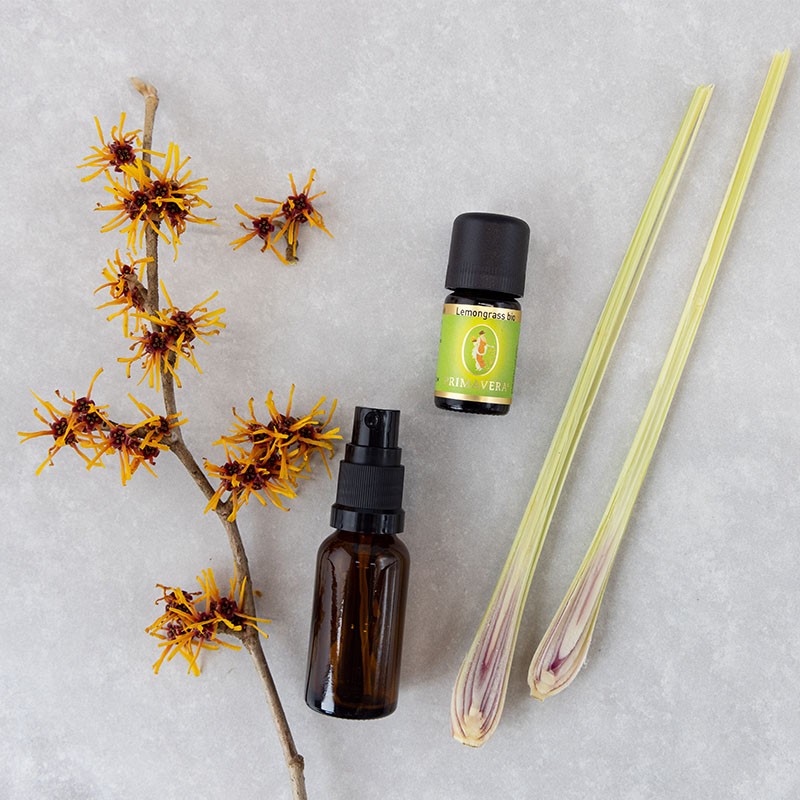PRIMAVERA ätherisches Öl Lemongrass und braune Sprühflasche auf hellem Untergrund, dekoriert mit Hamameliszweig und frischen Zitronengrasstängeln.