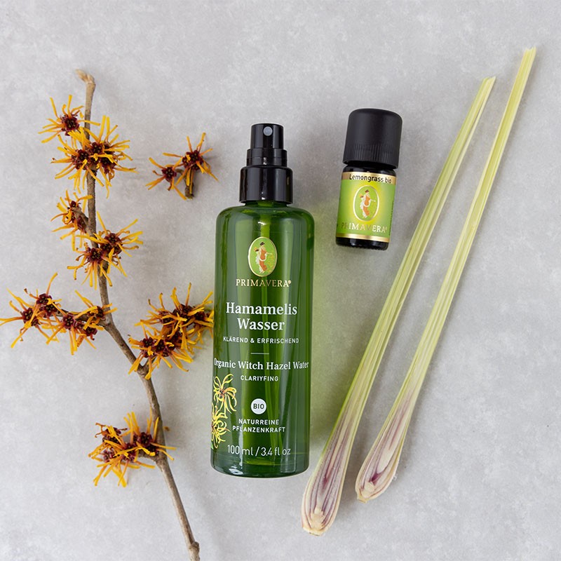 PRIMAVERA Hamamelis Wasser und ätherisches Öl Lemongrass auf hellem Untergrund, dekoriert mit Hamameliszweig und frischen Zitronengrasstängeln.