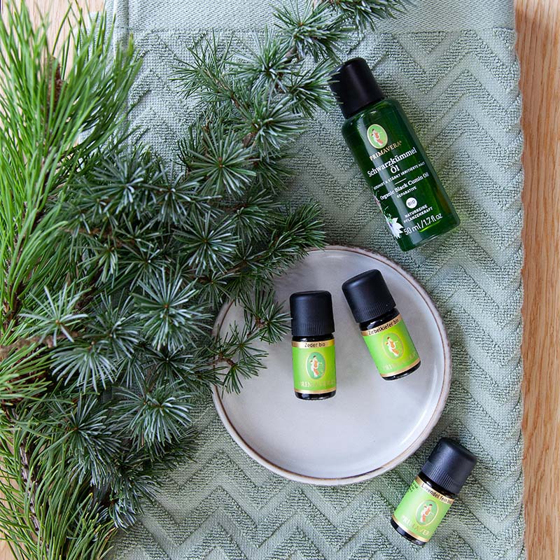 Drei Flaschen ätherisches Öl, Zeder bio, Zirbelkiefer bio, Lavendel fein bio und Schwarzkümmelöl bio, auf grünem Handtuch mit Tannenzweigen dekorativ arrangiert.