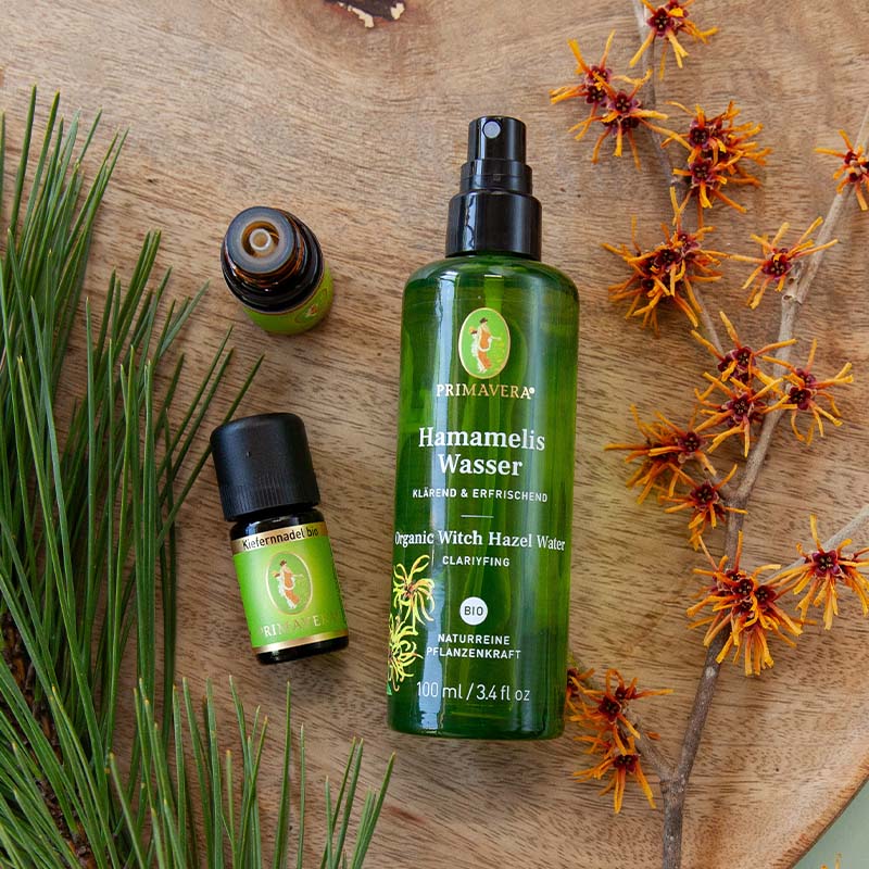 PRIMAVERA Hamamelis Wasser, Zypresse bio und Kiefernnadel bio auf Holz, umgeben von Kiefernzweigen und einem Hamamelis Zweig.