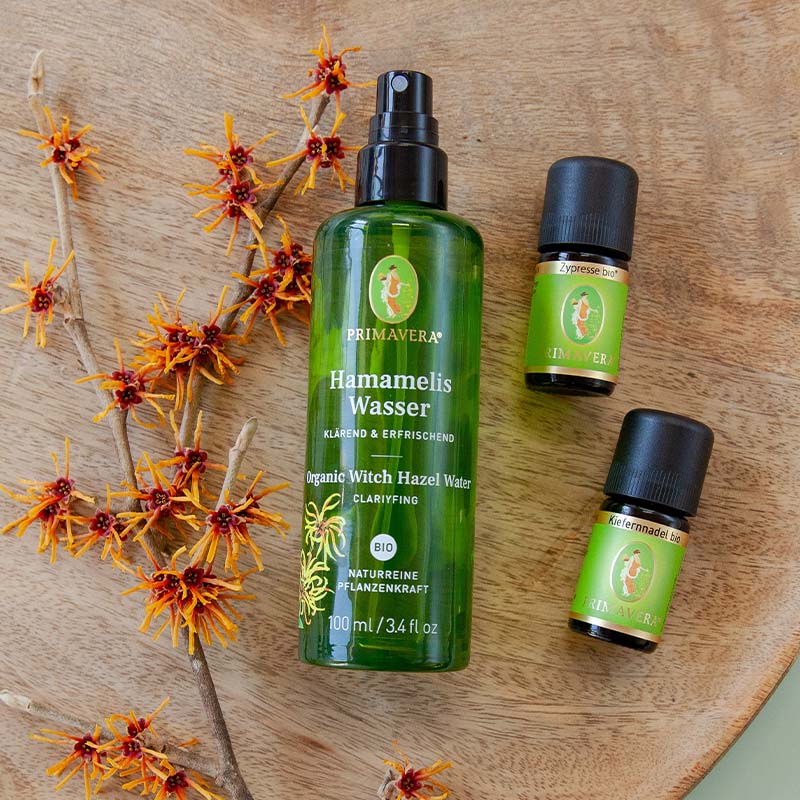 PRIMAVERA Hamamelis Wasser, Zypresse bio und Kiefernnadel bio auf Holz, umgeben von einem Hamamelis Zweig.