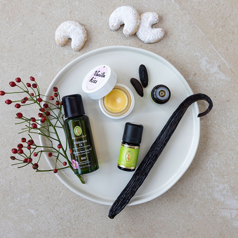Wildrosenöl, Vanilleextrakt bio, Vanilleschoten, Beeren und fertiger Lippenbalsam auf weißem Teller.
