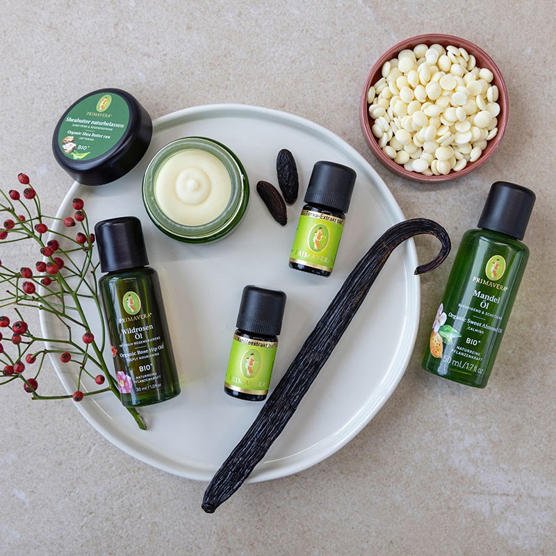 Zutaten für DIY-Rezept auf weißem Teller: Wildrosenöl bio, Vanilleextrakt bio, Tonka Extrakt bio, Kakaobutter, Sheabutter, Vanilleschote, Beeren und Mandelöl 
