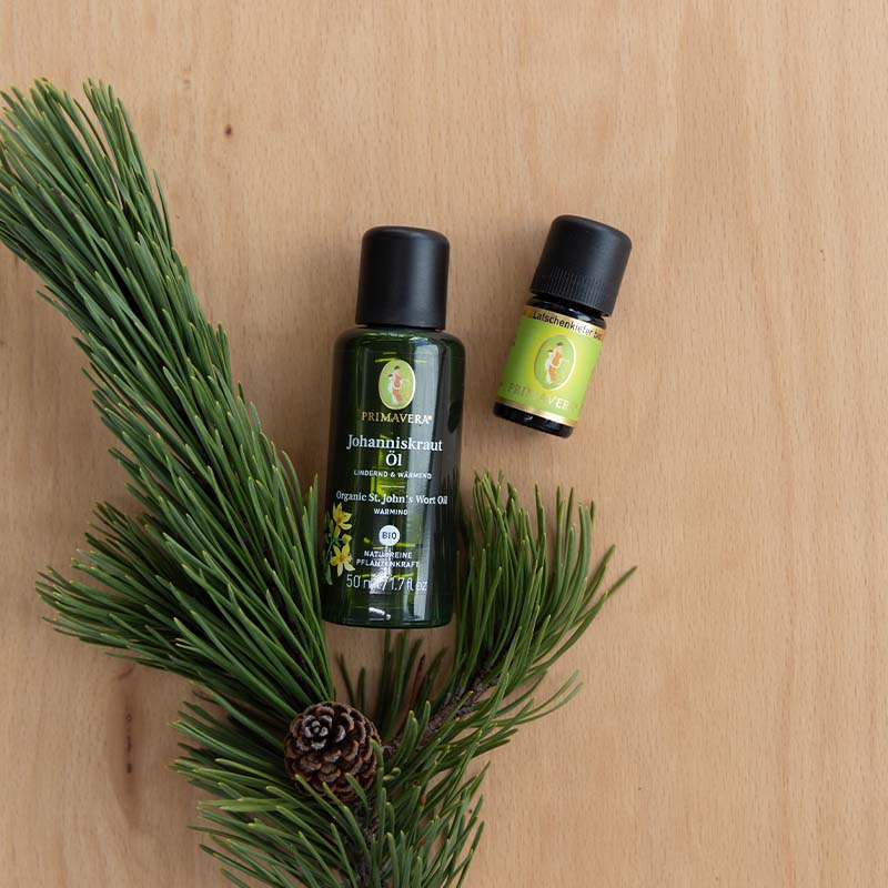 Auf einer holzernen Oberfläche liegt eine Flasche Johanniskrautöl bio 50 ml, eine 5 ml Flasche Latschenkiefer bio und links liegt ein Bündel Kiefernnadeln.