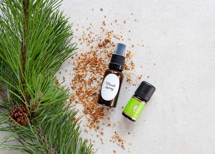 Mundspray Propolis Orange