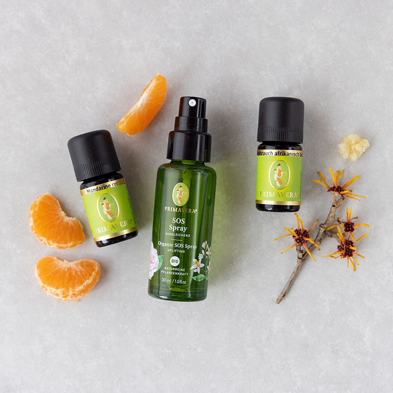 SOS Spray Bio und ätherische öle Mandarine rot und Weihrauch afrikanisch, dekoriert mit Mandarine, Hamamelis-Zweig und Weihrauch auf hellem Hintergrund.