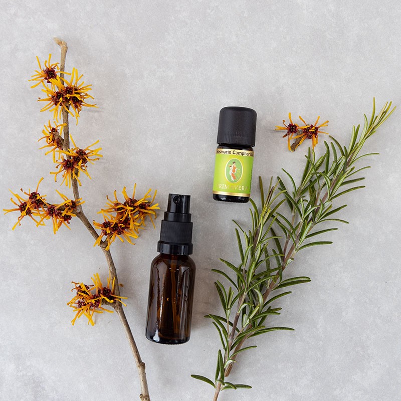 Braune Sprühflasche und PRIMAVERA ätherisches Öl Rosmarin Campher bio auf hellem Untergrund, dekoriert mit Zweigen von Hamamelis und Rosmarin.