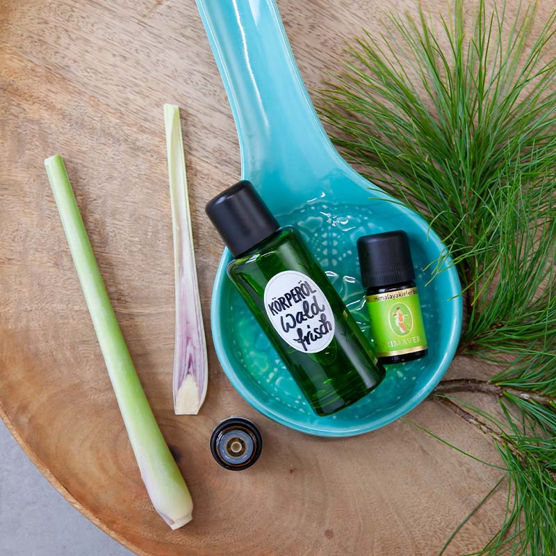 Auf einer Holzplatte liegen in einem blauen größeren Löffel das fertig gemischte Körperöl Waldfrisch und das Ätherische Öl Himalayakiefer bio. Links davon ist ein halbierter Zitronengrasstängel und rechts zwei Zweige mit Kieferngrün.