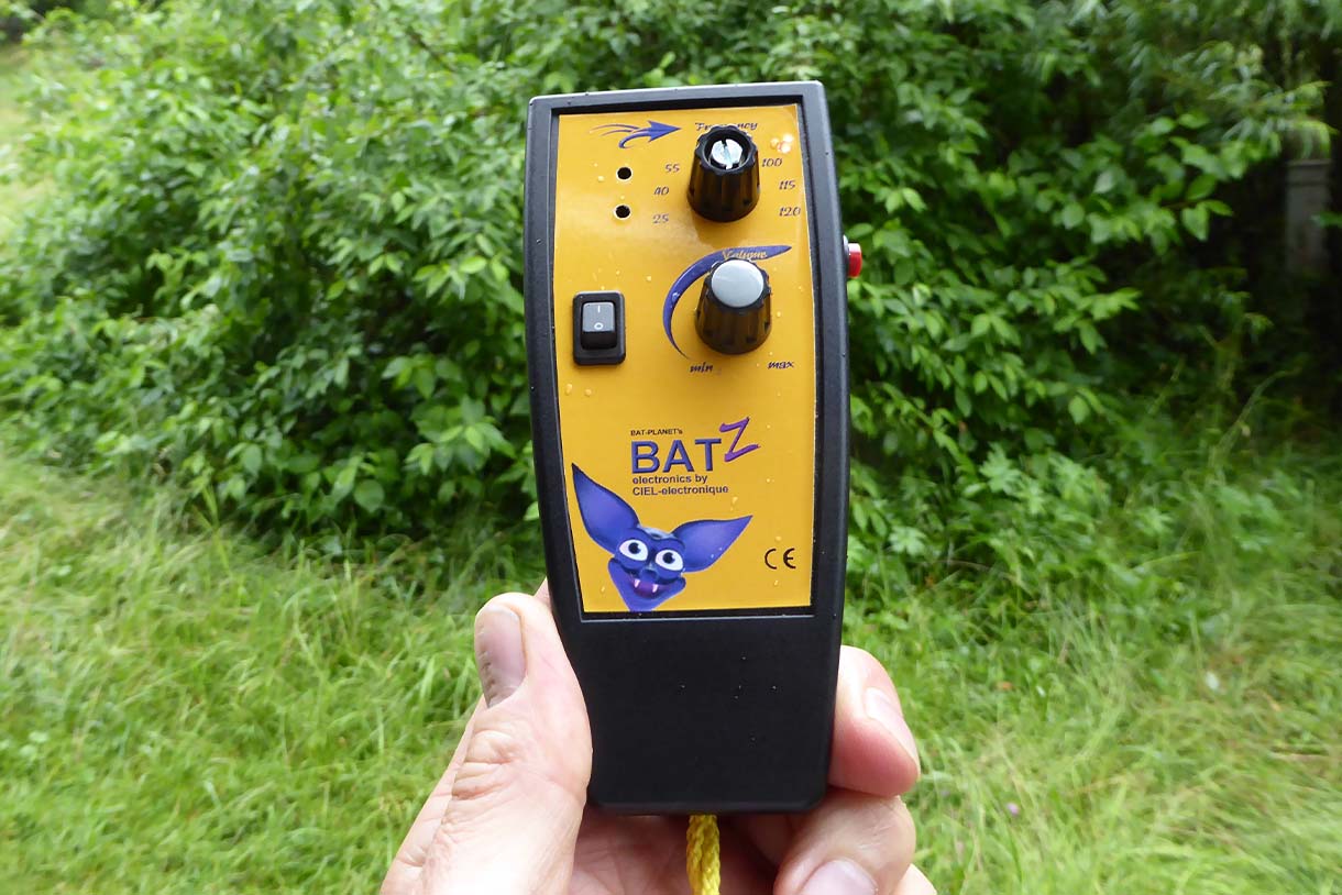 Fledermäuse im Naturparadies