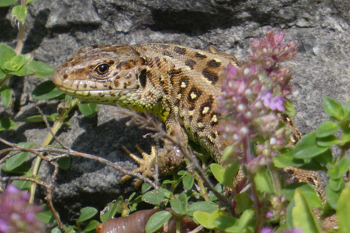 Ferienprogramm für Kinder & Eltern