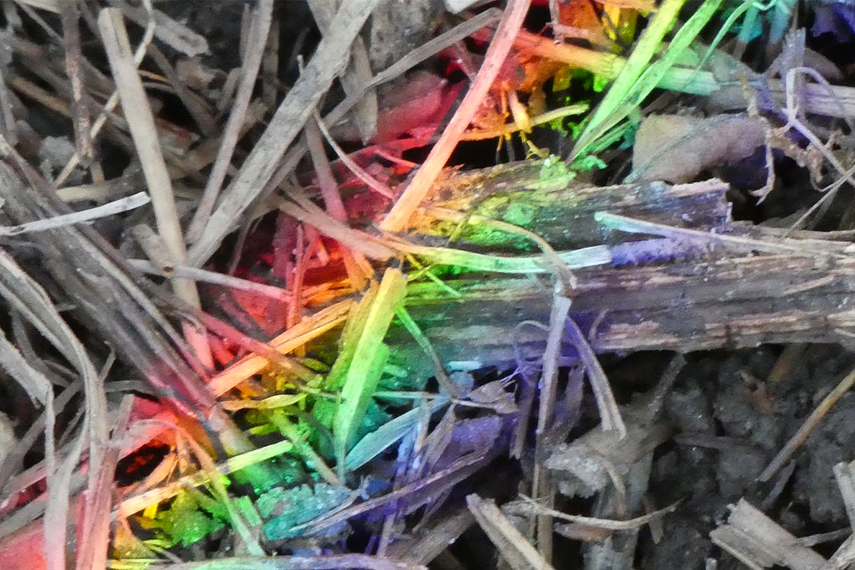 PRIMAVERA und Klimawandel