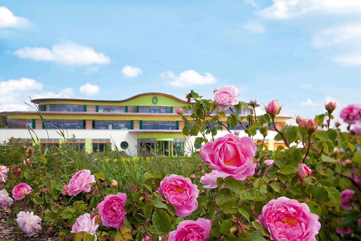 Nachhaltigkeits-Spaziergang