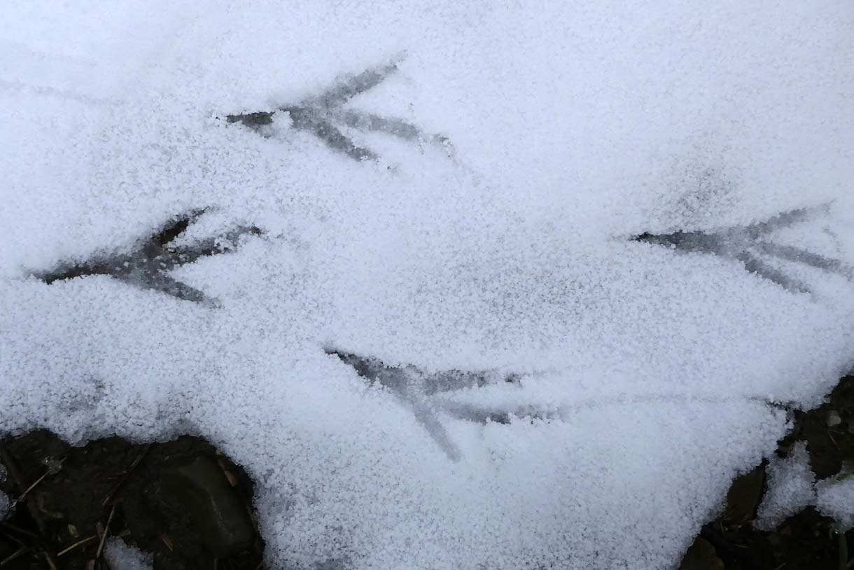 Spurensuche im Naturparadies