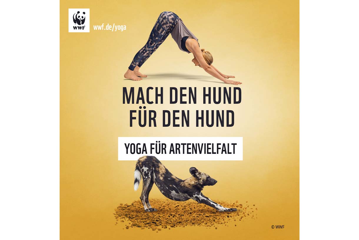 Yoga für den Artenschutz