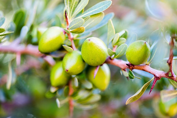 Mitarbeiter Außendienst (m/w/d) für die PLZ-Bereiche 26, 32+33, 48+49