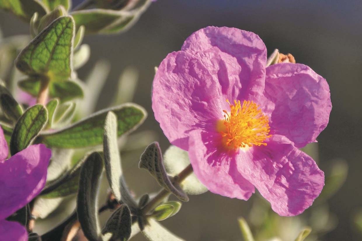 Koordinator Produktion (m/w/d)