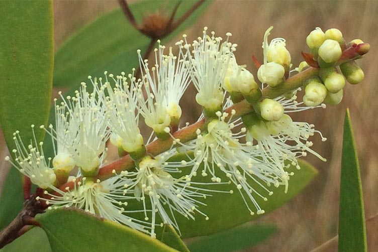 Mitarbeiter Außendienst (m/w/d) Schweiz (CH) PLZ 8+9