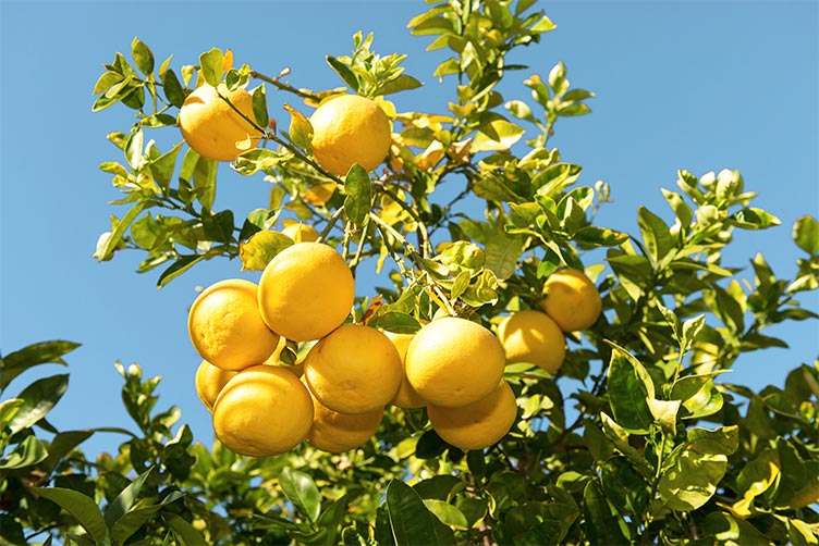 Mitarbeiter Gebäudereinigung (m/w/d)