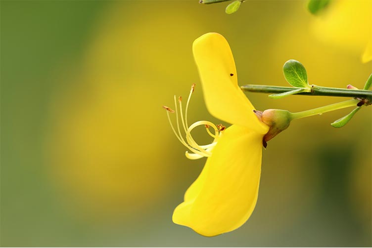 Fachinformatiker (m/w/d)