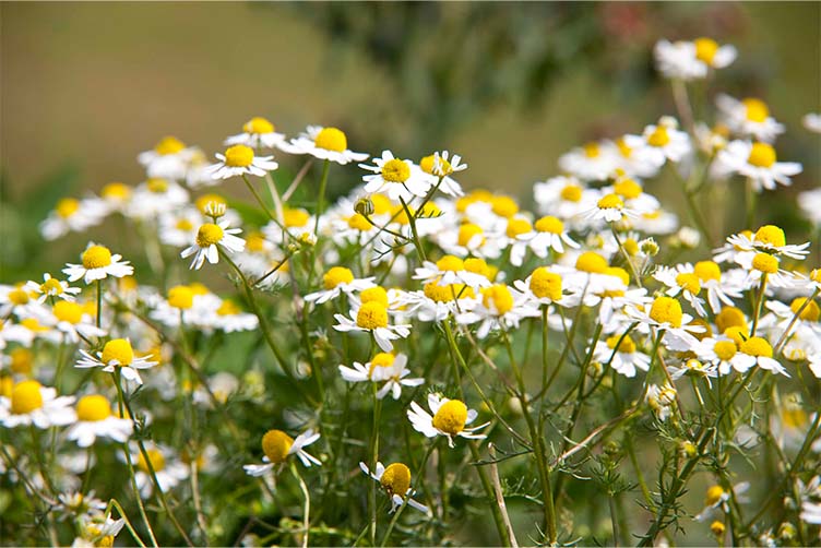 Gebietstrainer (m/w/d) PLZ-Gebiete 80-86 und 90-94