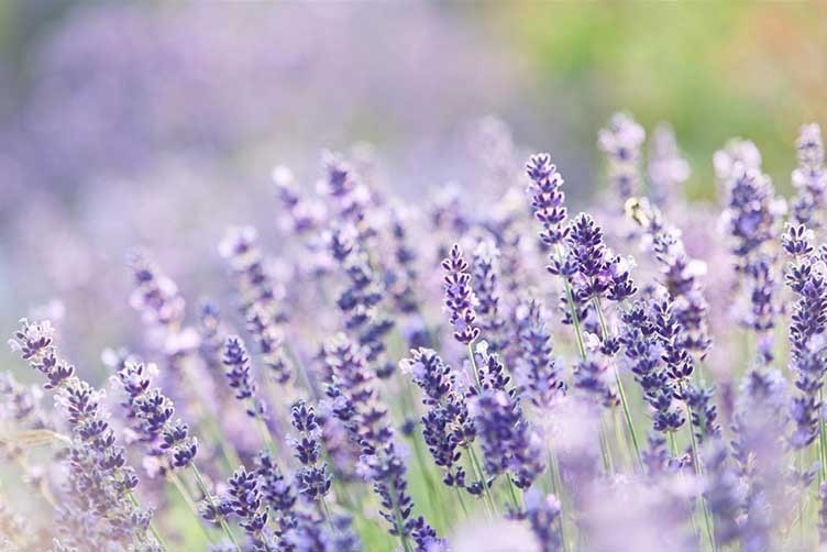 Mitarbeiter Qualitätssicherung (m/w/d)