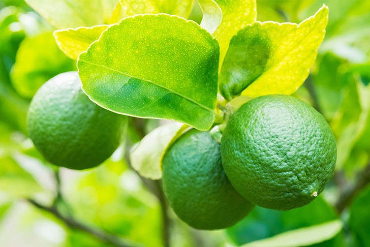 Mitarbeiter Außendienst (m/w/d) für die PLZ-Bereiche 83, 84, 93, 94