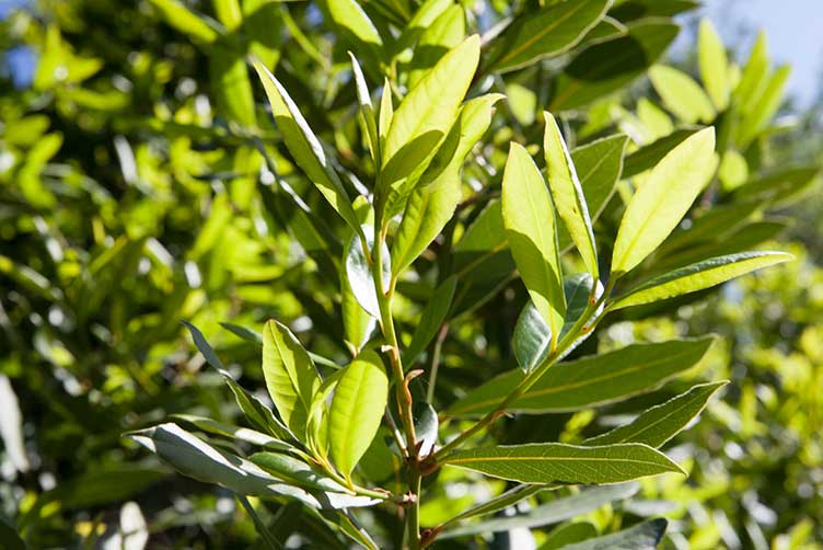 Freiberufliche Referenten (m/w/d) PLZ-Gebiete 29, 30, 31, 32, 33, 37, 38, 39