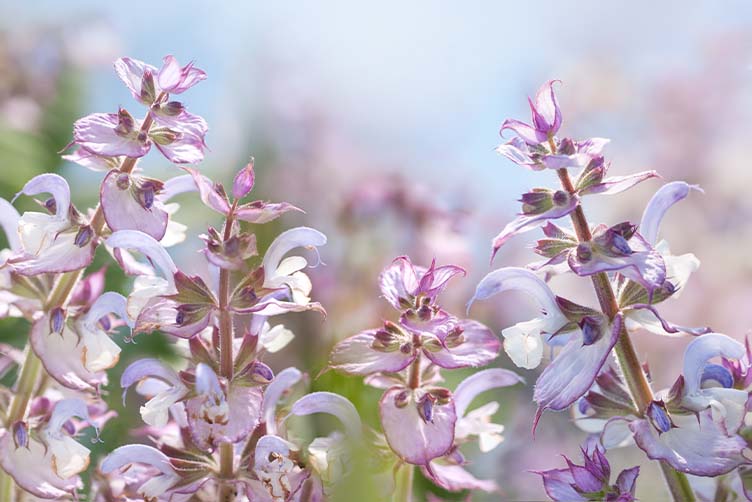 Mitarbeiter Außendienst (m/w/d) für den PLZ-Bereich 40-47, 58 und 59