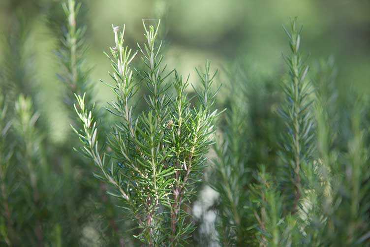 Ferienarbeiter Produktion & Logistik (m/w/d)