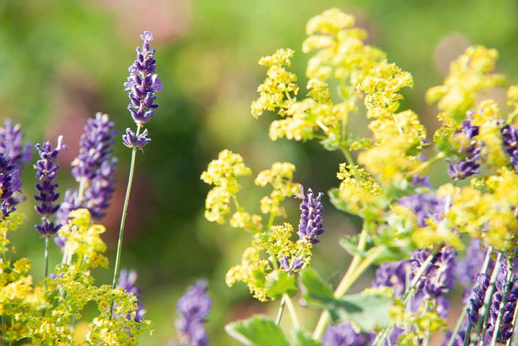 Mitarbeiter Rohstofflager & -bereitstellung (m/w/d)