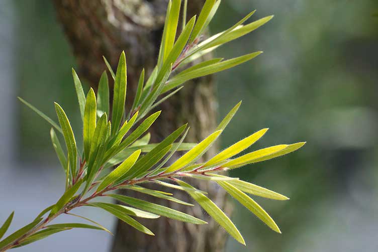 Auszubildende Fachkräfte für Lagerlogistik (m/w/d)