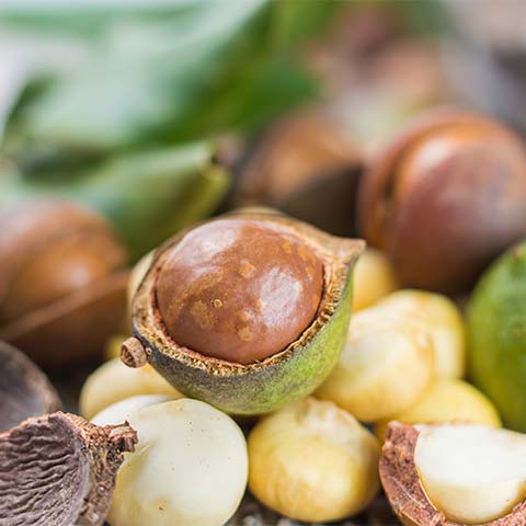 Bio Macadamianussöl