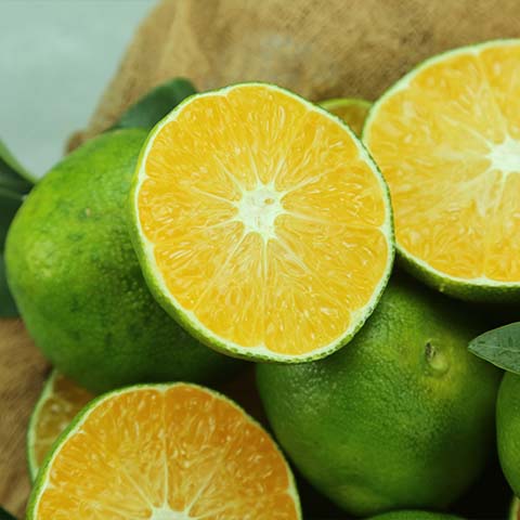 Mandarine